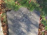 image of grave number 852641